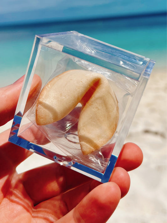 Acrylbox durchsichtig